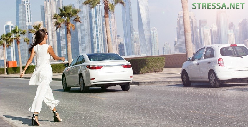 Дороги в Арабских Эмиратах Дороги в Арабских Эмиратах