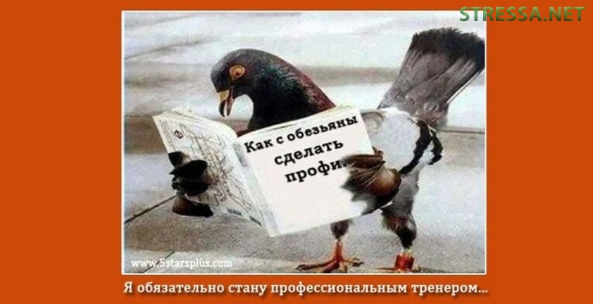 Чем похожи новички в инфобизнесе на призывников