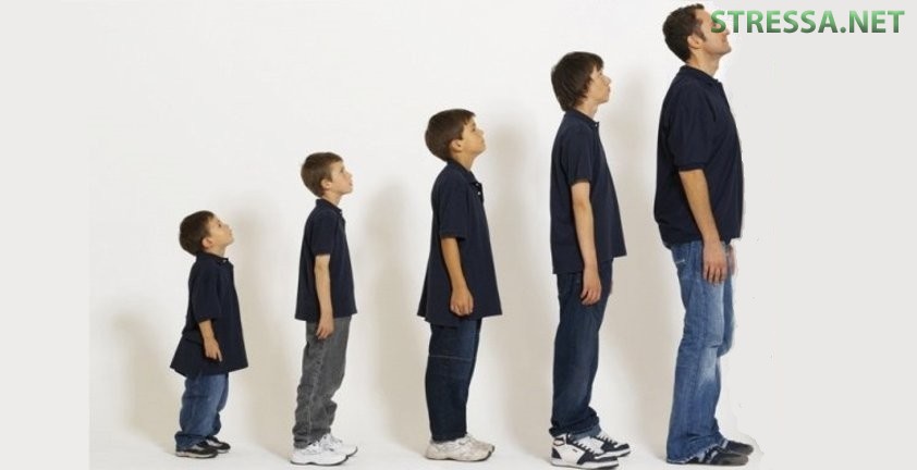 Этапы психологического взросления Этапы психологического взросления