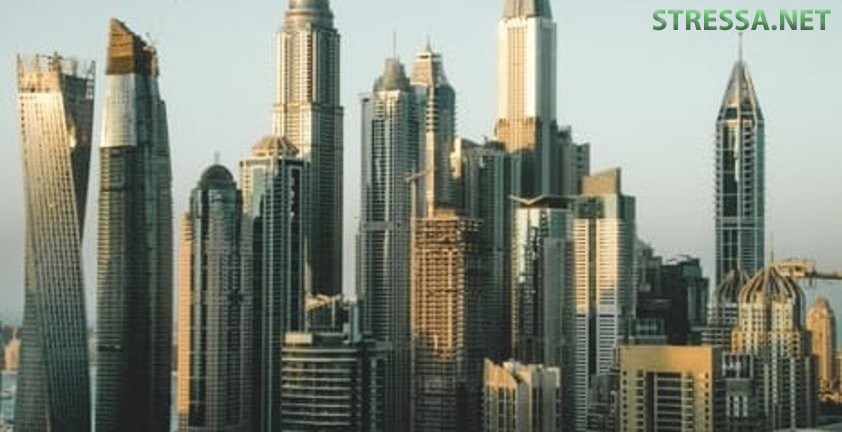 Построение выгоднго бизнеса в ОАЭ