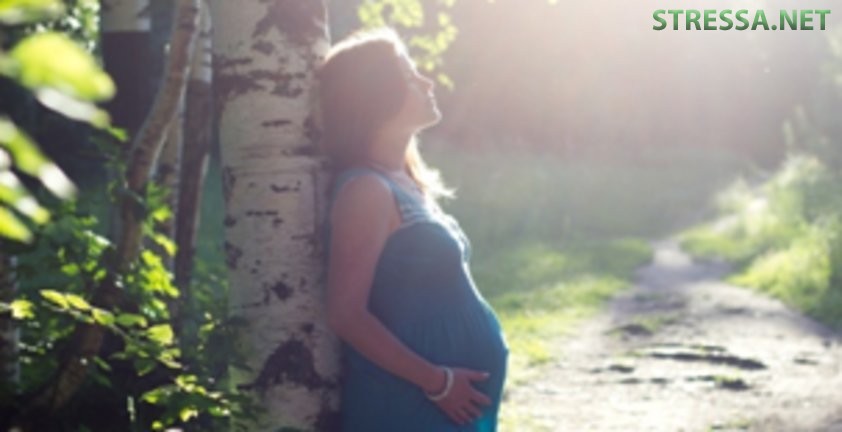 Как женщине провести период беременности с пользой Как женщине провести период беременности с пользой