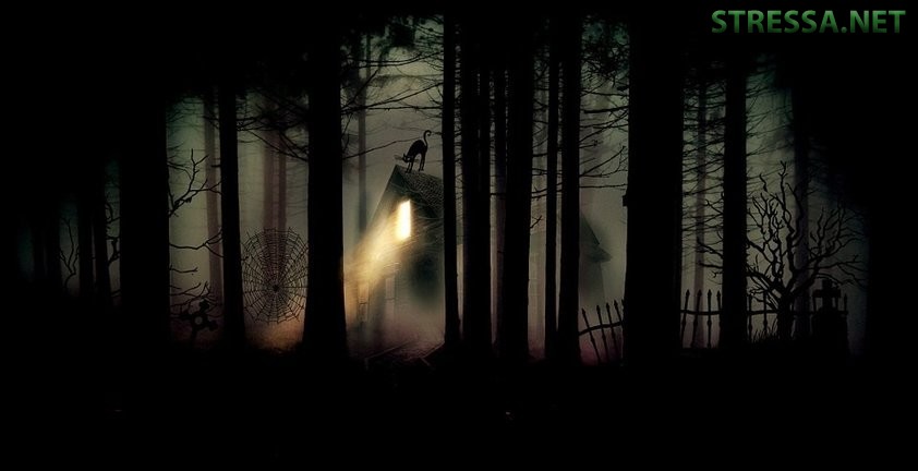 Как справиться со своими страхами Как справиться со своими страхами