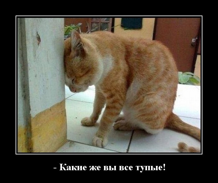 Троллинг